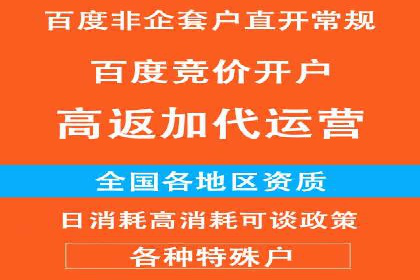 百度竞价广告投放数据分析